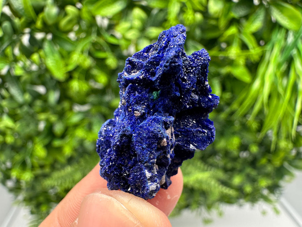 Crystallized Azurite-Kerrouchen,Morocco-Blue Azurite Specimen-High Quality Blue Azurite-Azurite Mineral Specimen, gemmy,lustrous of Azurite