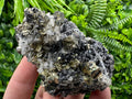 Rainbow Pyrite, Sphalerite and Quartz Mineral Specimen, Borieva Mine