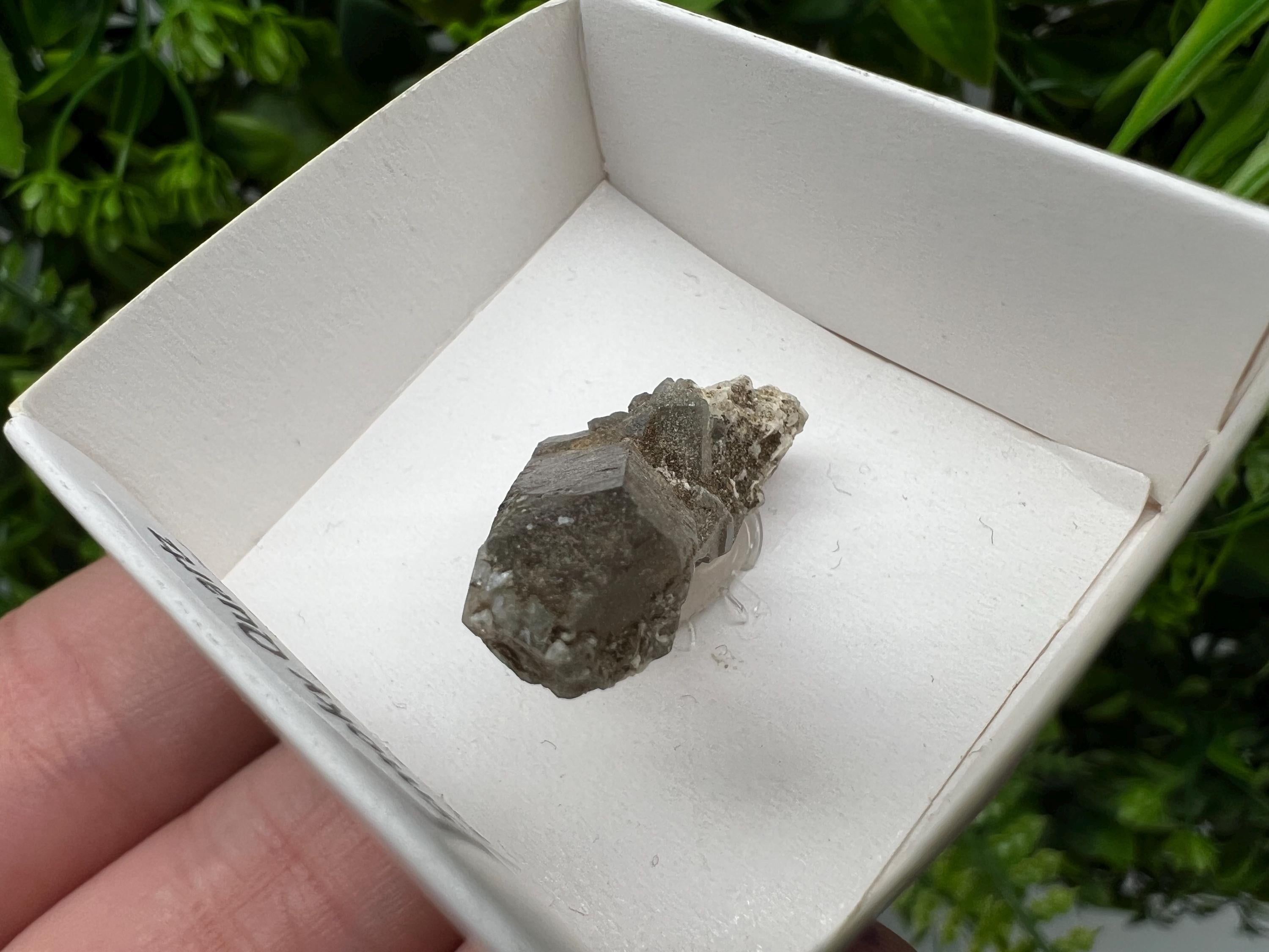 Rare Fedenstock Smoky Quartz, Swiss Mineral Specimen