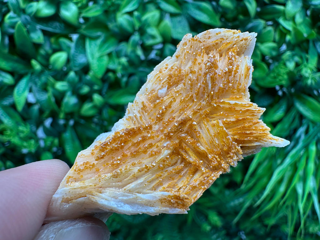 Red Vanadinite on Barite, Morocco Crystal Specimen