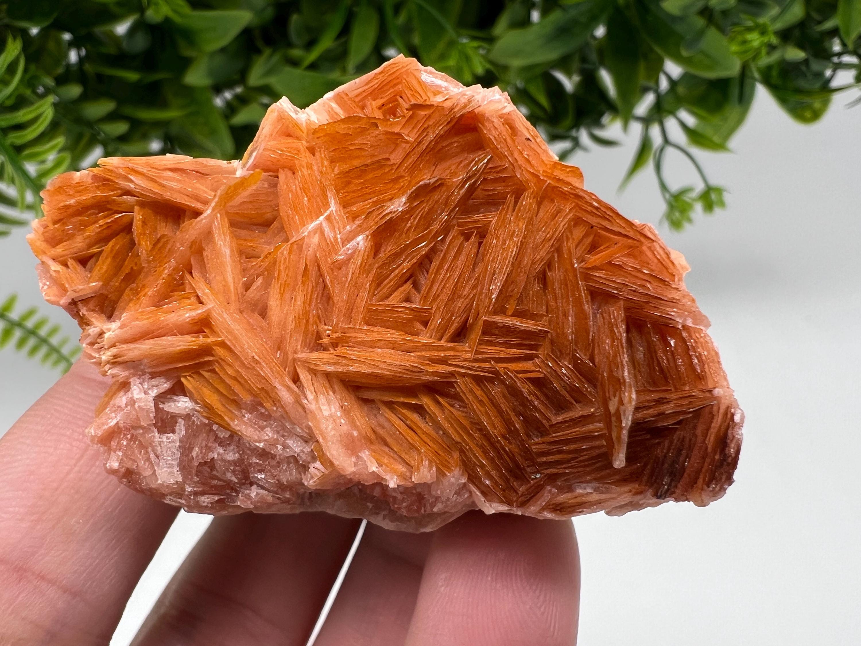 Wonderful Baryte with Cerussite on Galena from Morocco,Crystal, Mineral,Specimen,Cluster,Crystals,Barite Crystal,Cerussite Crystal,Specimen