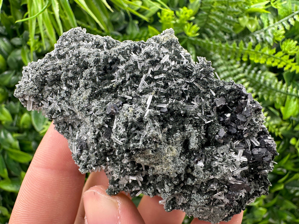 Sphalerite on Green Quartz with Chlorite Inclusion - Bulgaria Crystal Decor (8/6/4 cm)
