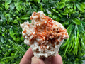 Red Vanadinite Crystal on Barite Matrix, Morocco Mineral Specimen
