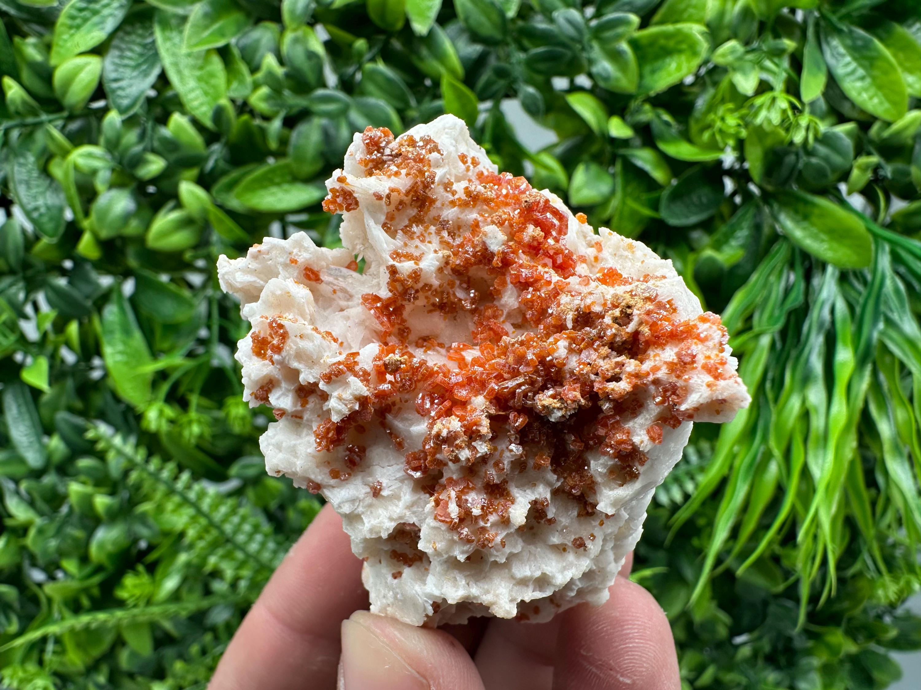 Red Vanadinite Crystal on Barite Matrix, Morocco Mineral Specimen