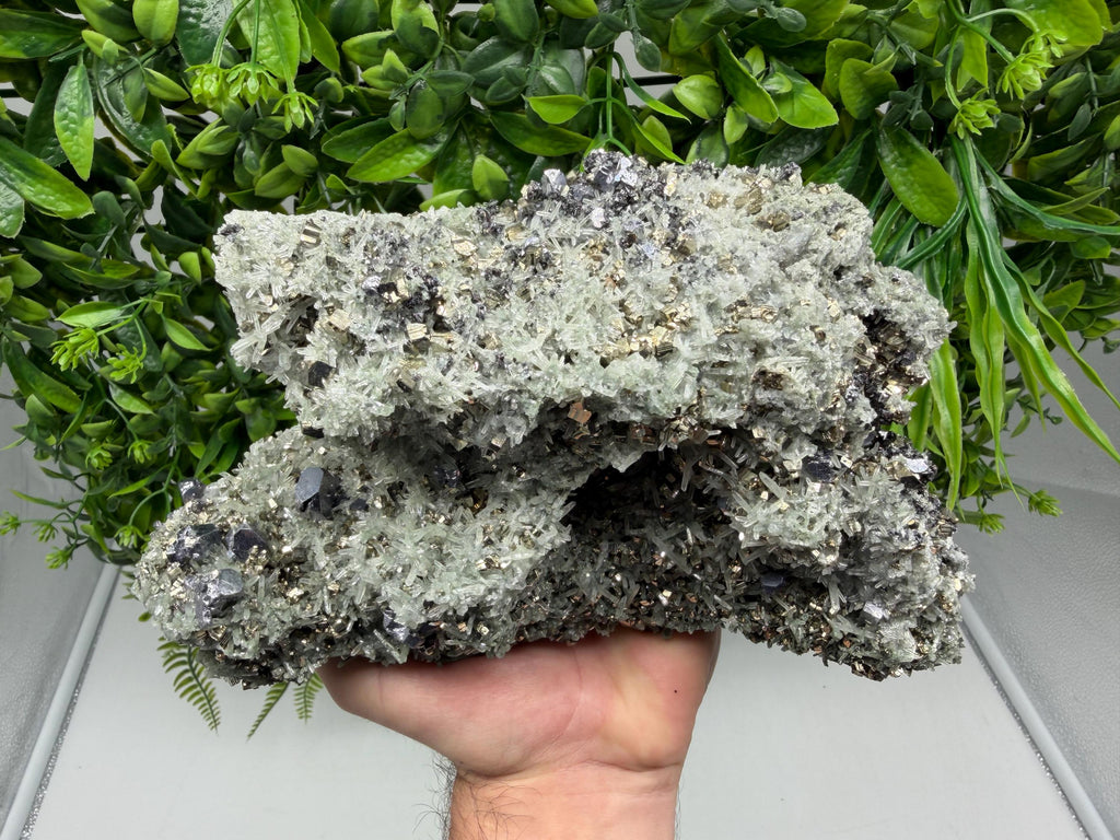 Galena on Green Quartz with Chlorite, Borieva Mine Mineral Specimen