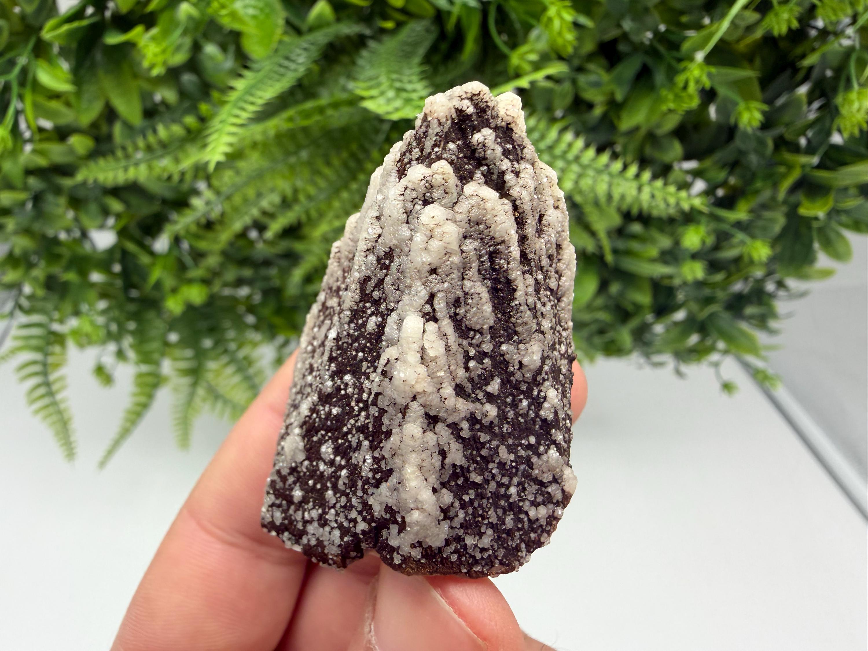 Brown Rhodochrosite on Calcite, Djurcovo Bulgaria, Mineral Specimen