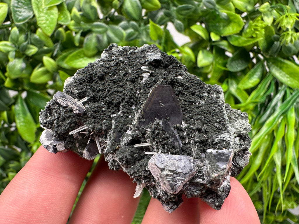 Sphalerite on Quartz, Epidote, Chlorite, Borieva Mine Mineral Specimen