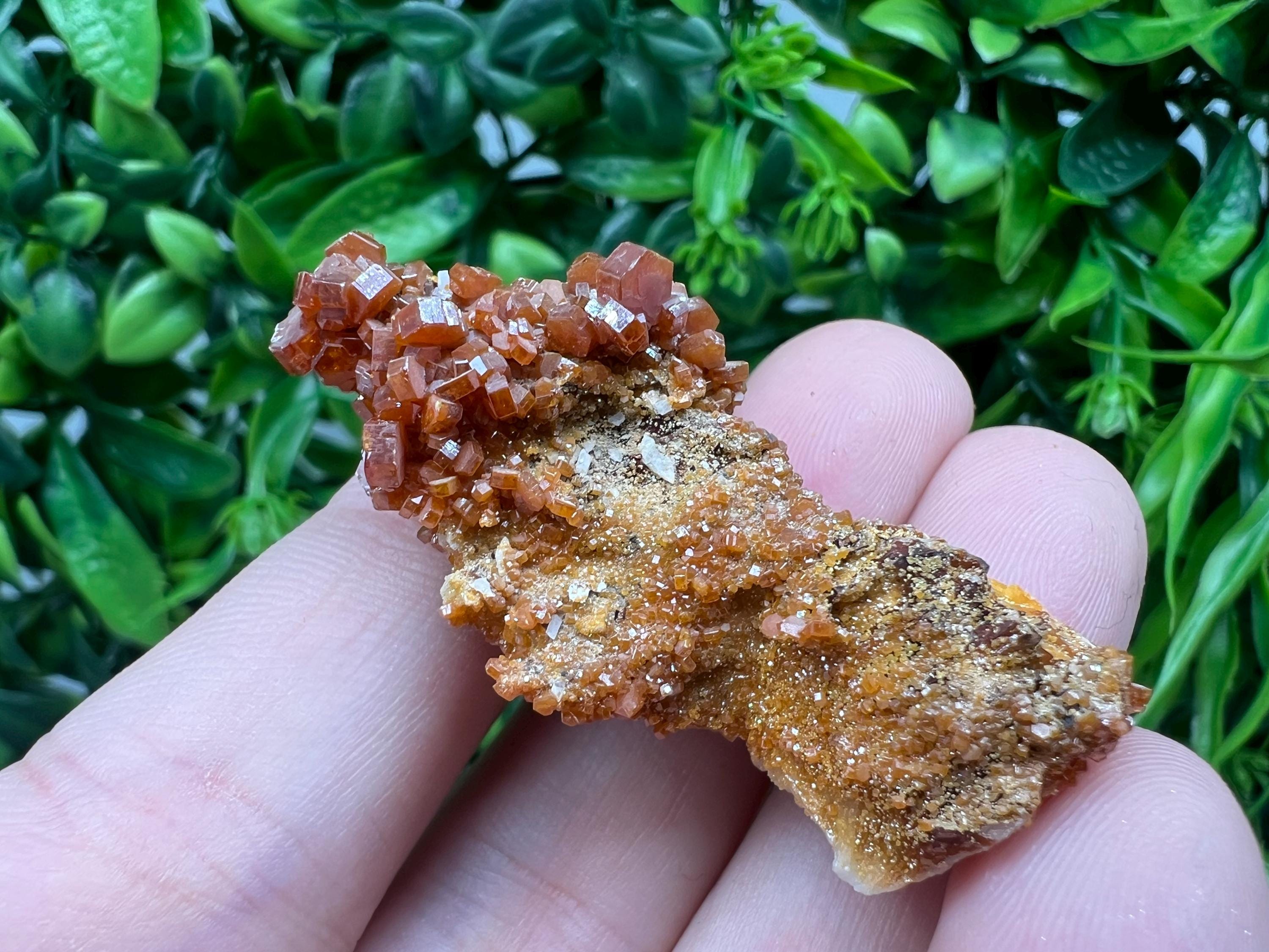Red Vanadinite on Barite from Marocco,crystal minerals Speciment cluster Vanadinite crystal Vanadinite Geology Vanadinite cluster minerals
