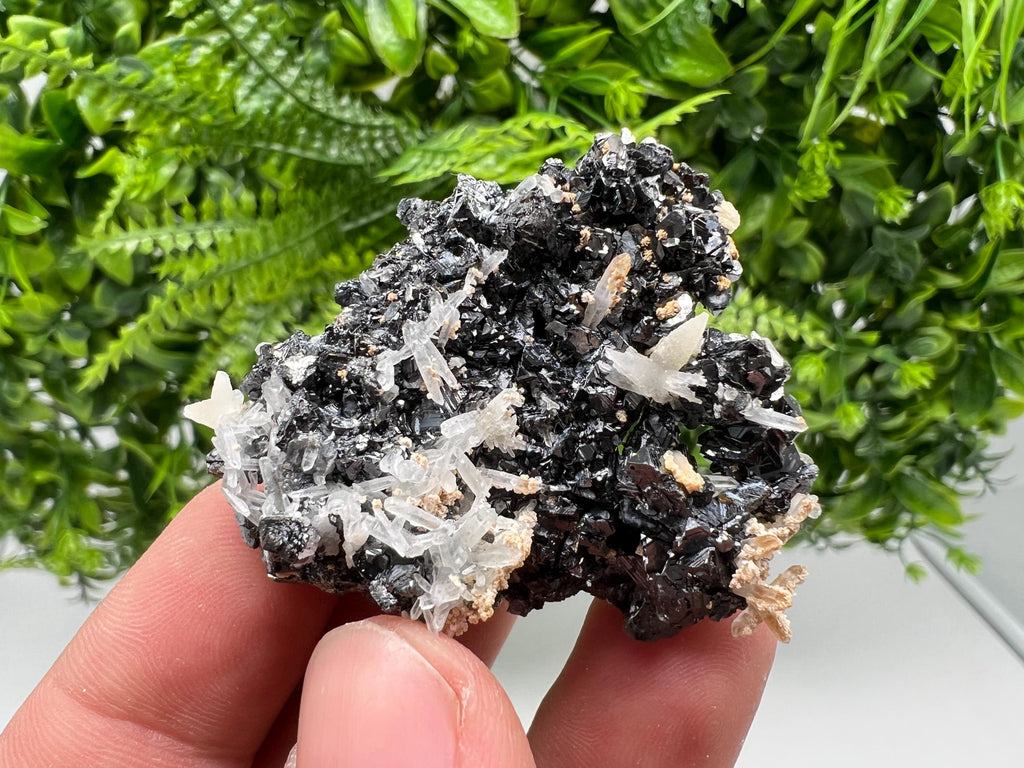 Skeletal Galena Mineral Specimen: Madan Bulgaria Collectible Stone