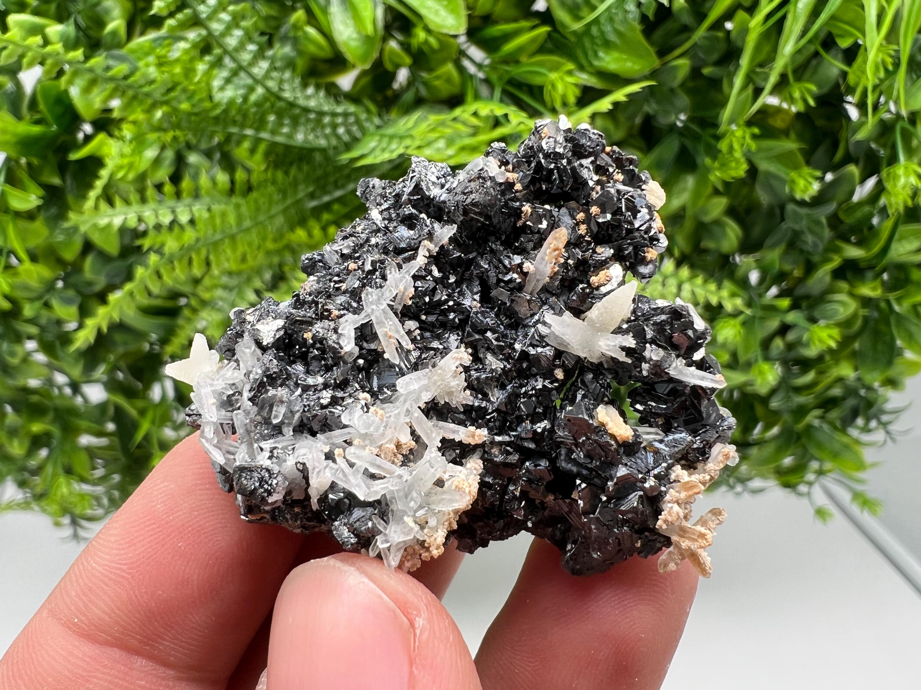 Skeletal Galena Mineral Specimen: Madan Bulgaria Collectible Stone