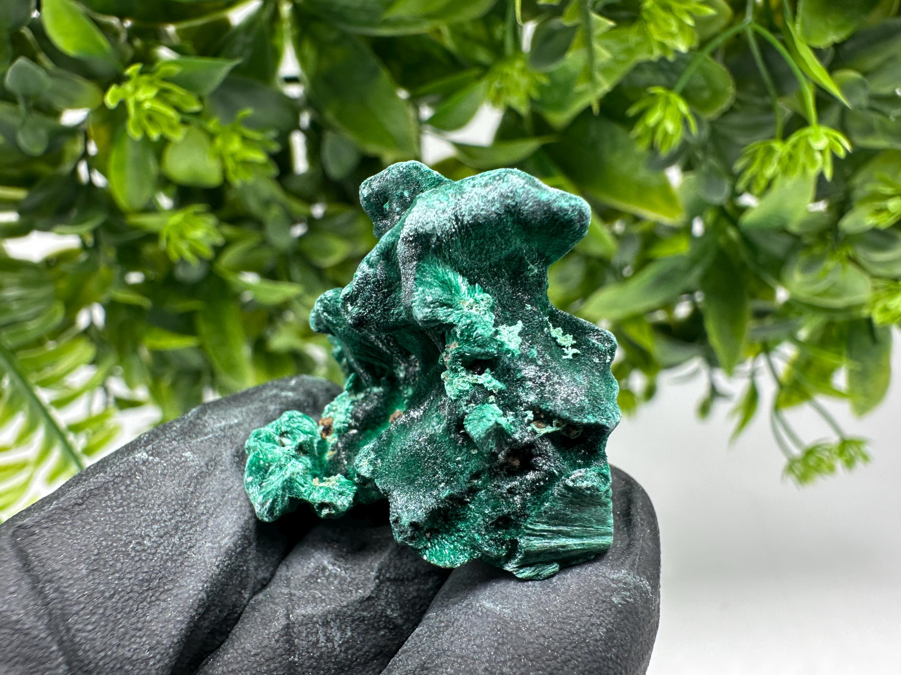 Malachite Crystal from Congo,Minerals,Crystals from Congo,Green Malachite, Malachite,Natural Malachite,Malachite Stone,Chakra, Specimens