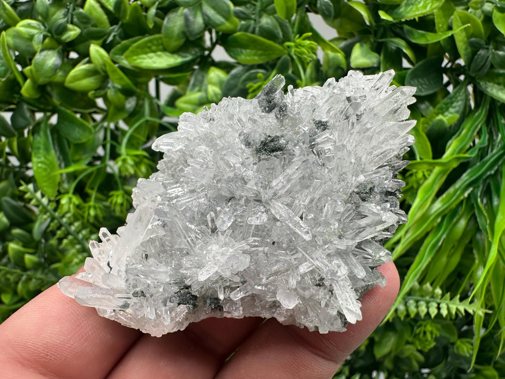 Transparent Quartz on Chlorite Matrix, Borieva Mine, Bulgaria