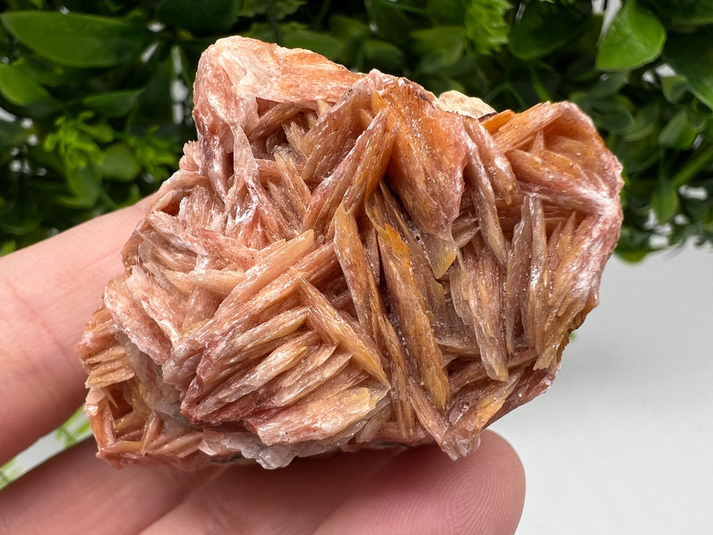 Wonderful Baryte with Cerussite on Galena from Morocco,Crystal, Mineral,Specimen,Cluster,Crystals,Barite Crystal,Cerussite Crystal,Specimen