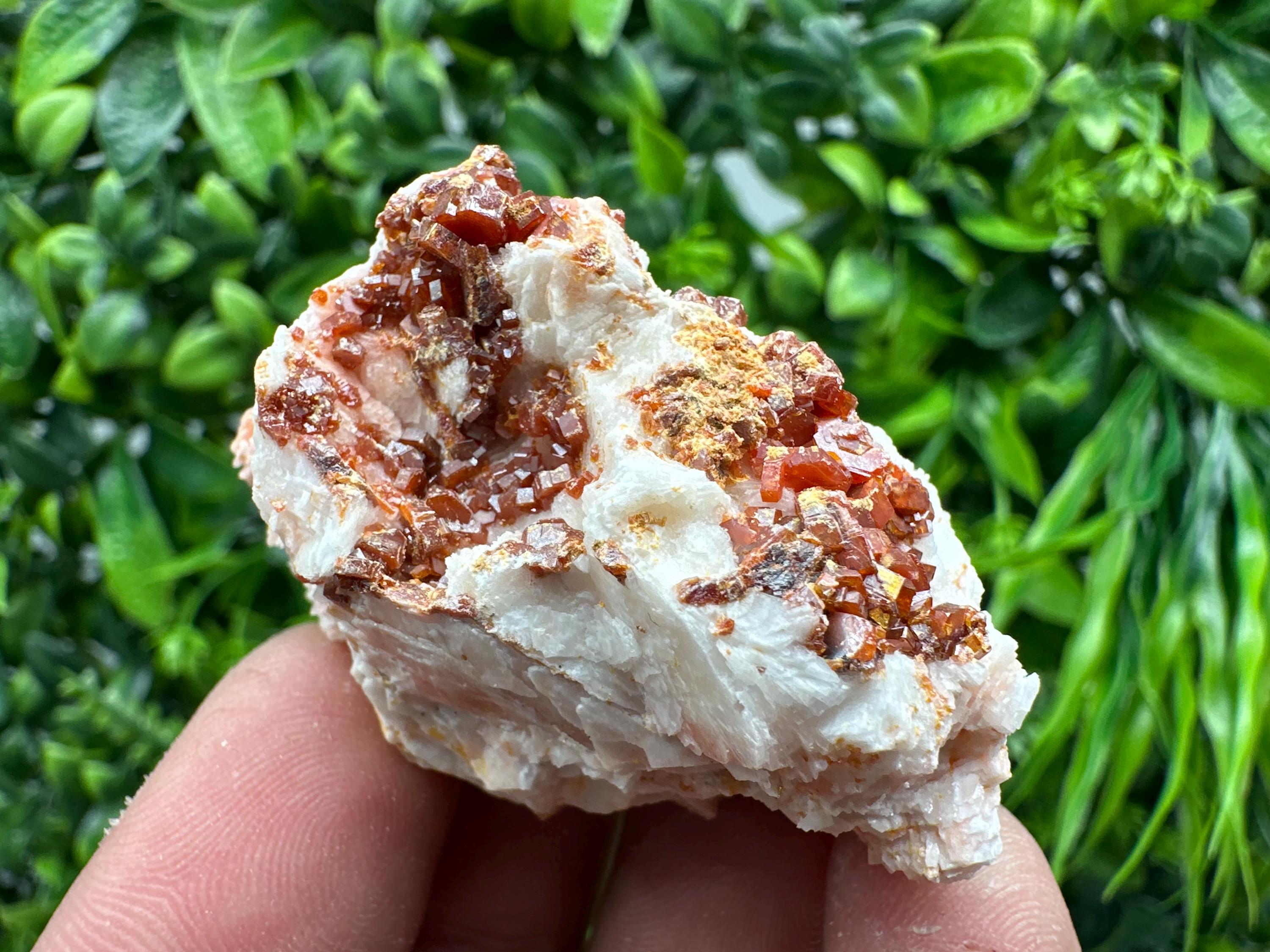 Red Vanadinite on Barite, Morocco Crystal Cluster