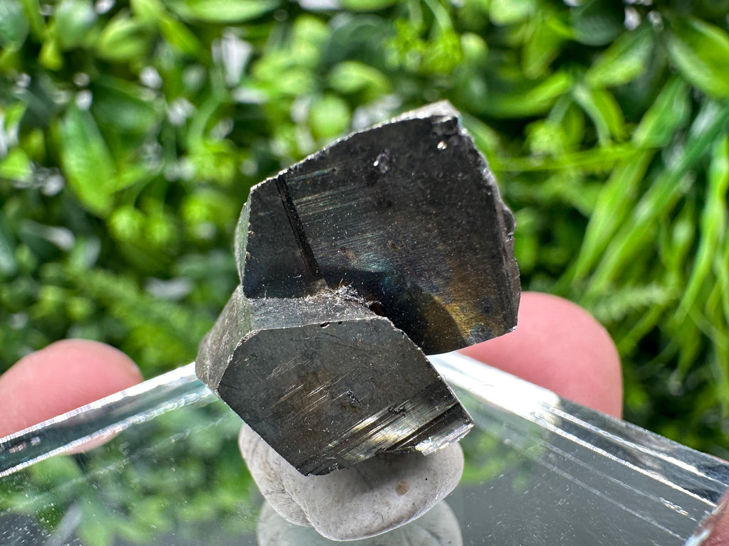 Mini Crystallization Pyrite Specimen, Borieva Mine, Bulgaria