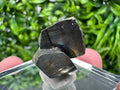 Mini Crystallization Pyrite Specimen, Borieva Mine, Bulgaria