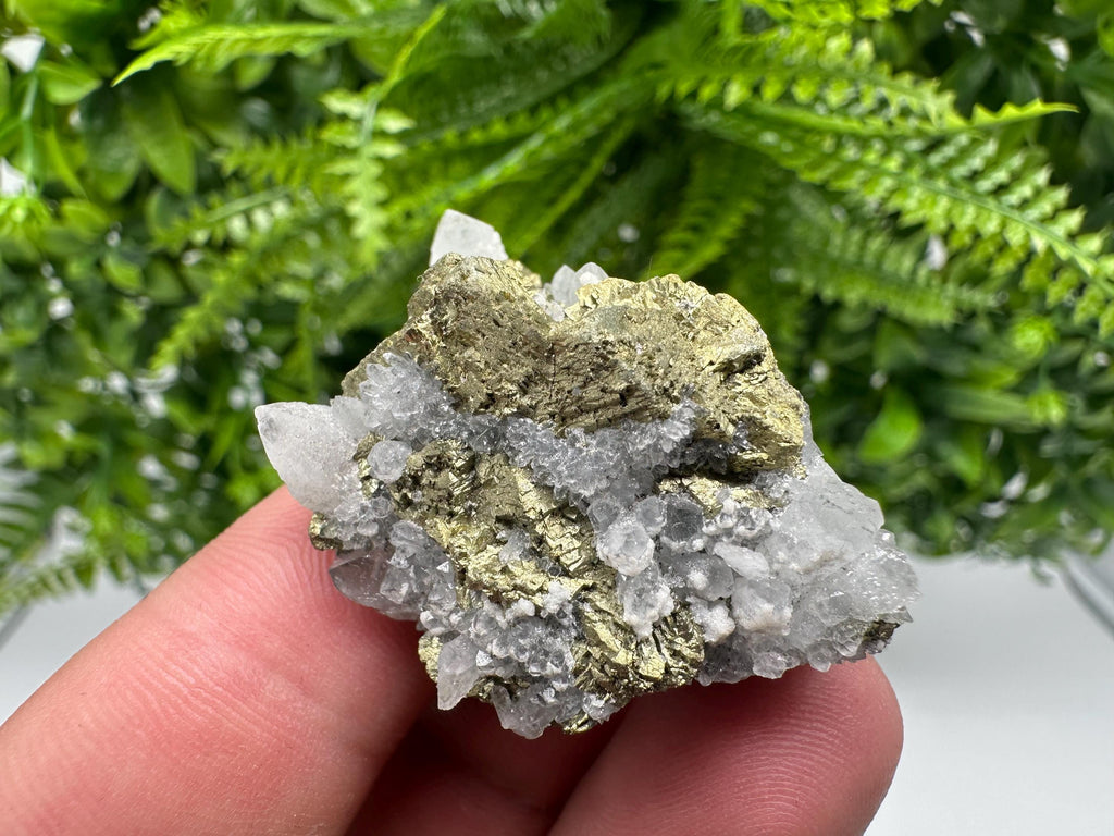 Chalcopyrite on Quartz Specimen, Krushev dol Mine, Bulgaria