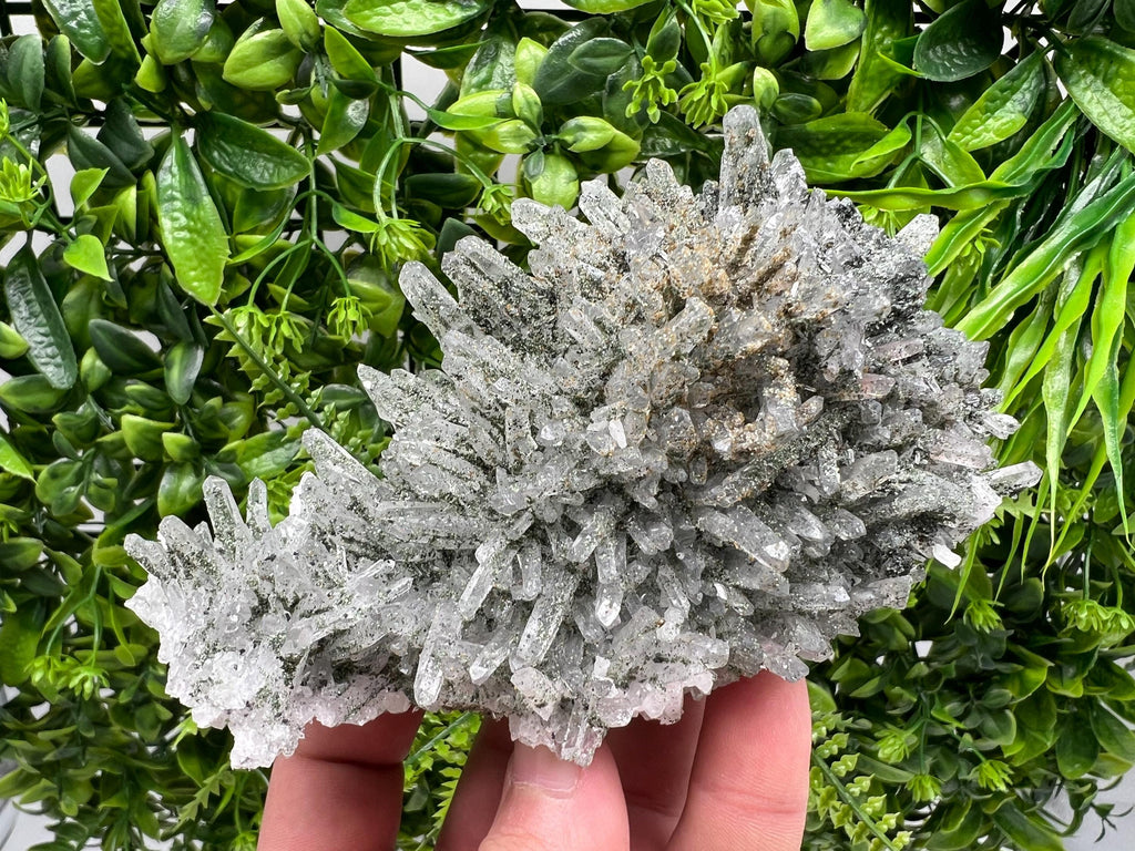 Quartz Rhodochrosite Cluster, Djurcovo Mine Mineral Specimen