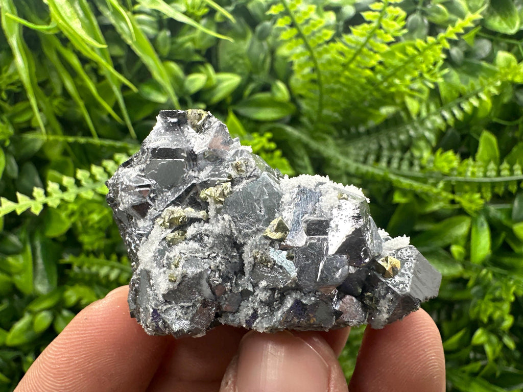 Galena with Chalcopyrite and Quartz, Krushev dol Mineral Specimen