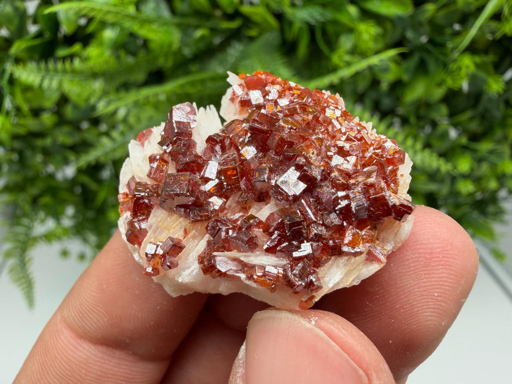 Red Vanadinite Crystal Cluster on Barite Matrix, Moroccan Mineral Specimen