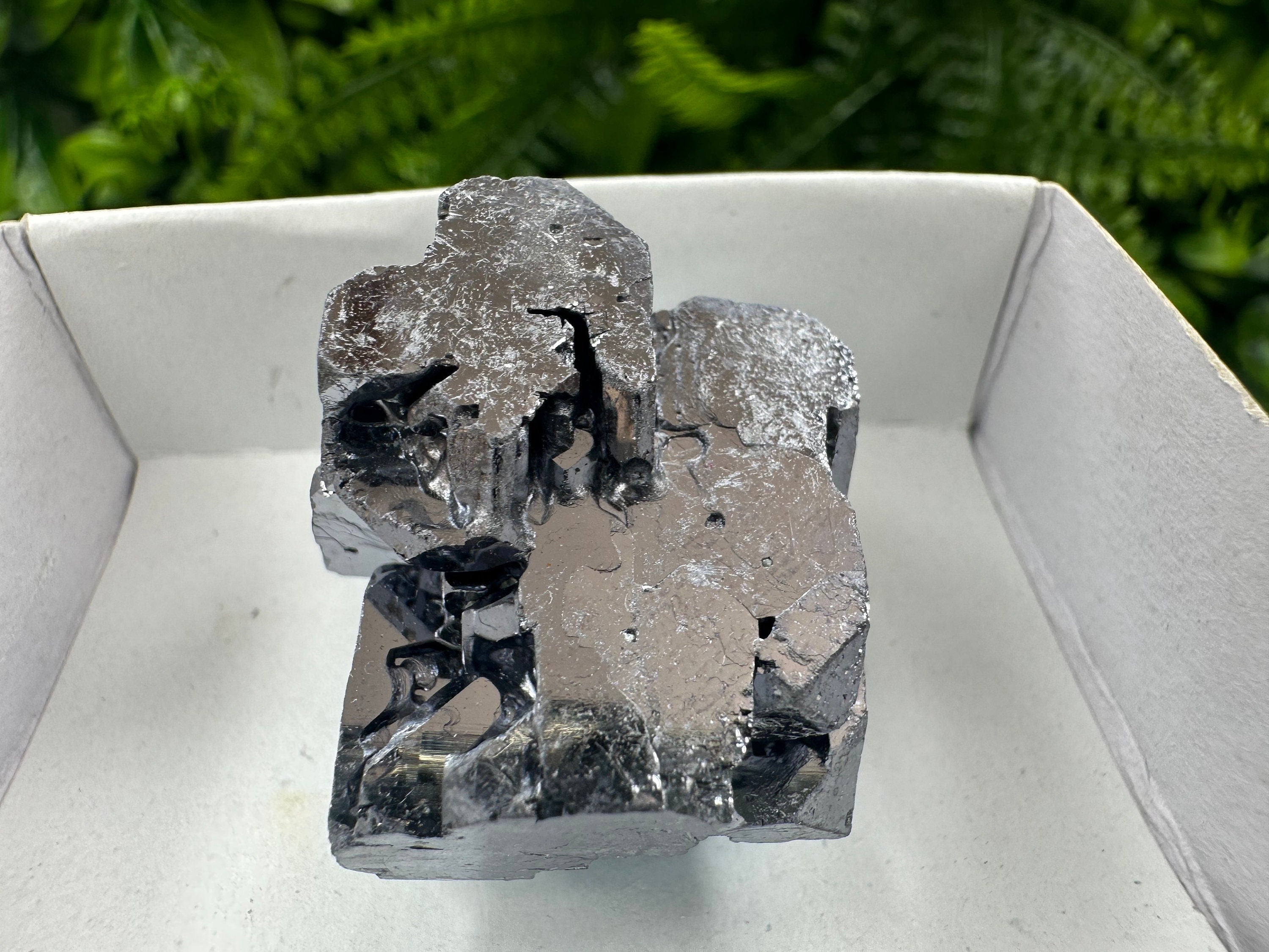 Shiny Galena Cluster: Borieva Mine, Madan, Bulgaria