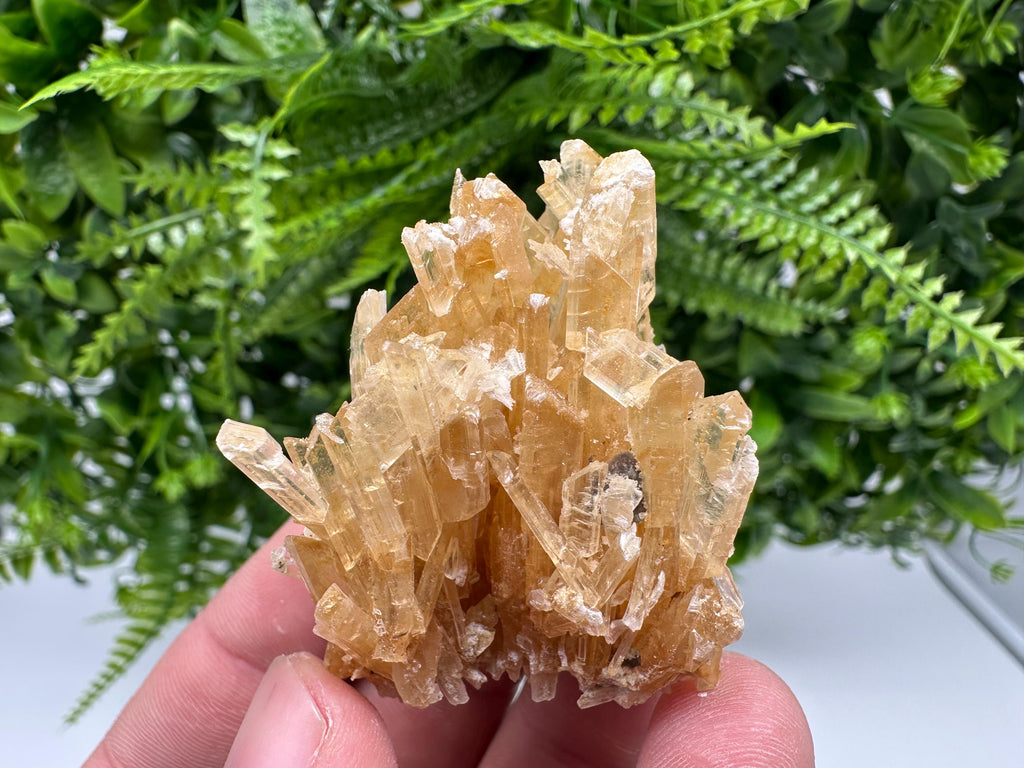 Brown Gypsum Selenite Crystal, Rudna Mine Poland, Mineral Specimen