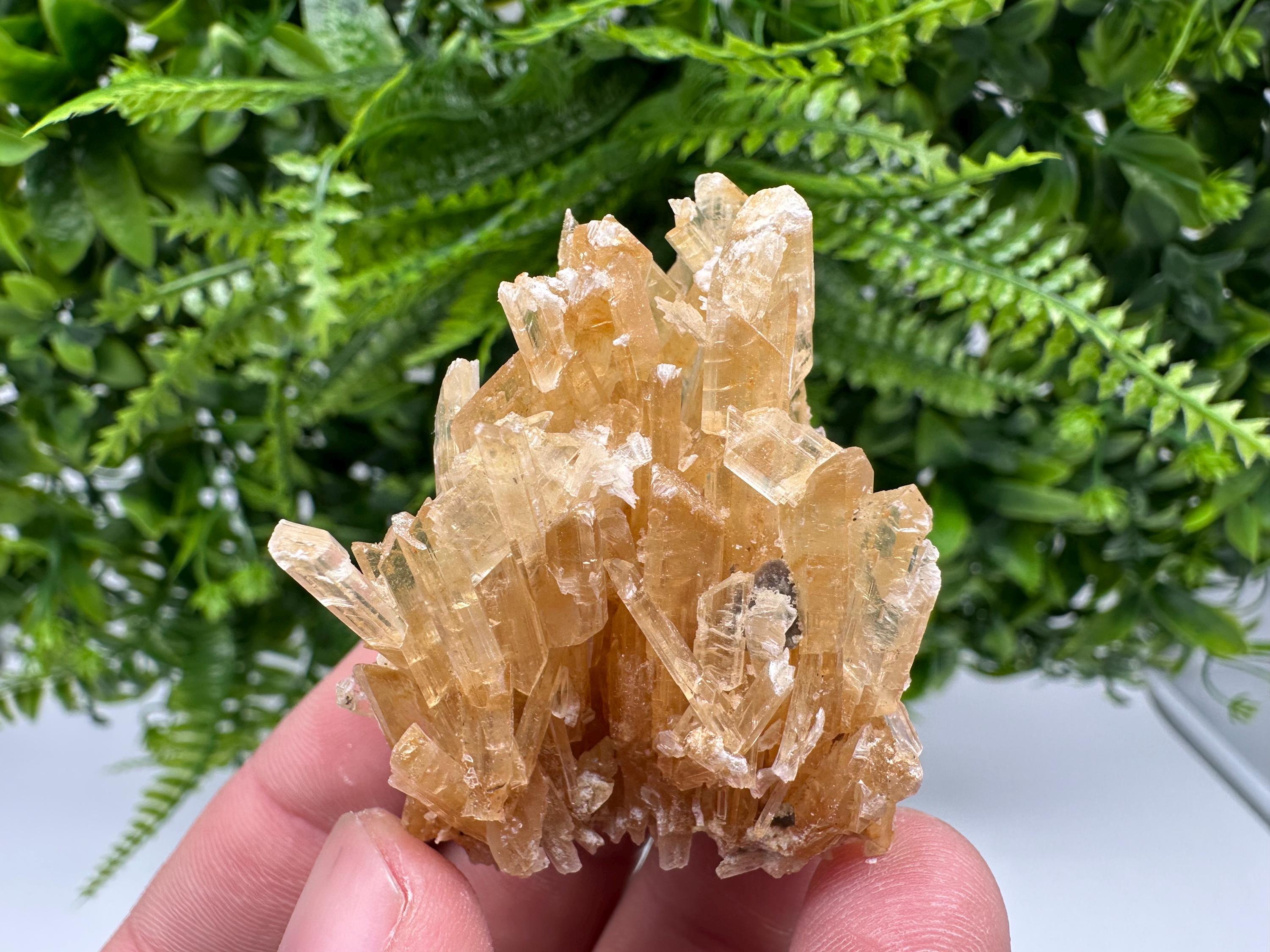 Brown Gypsum Selenite Crystal, Rudna Mine Poland, Mineral Specimen