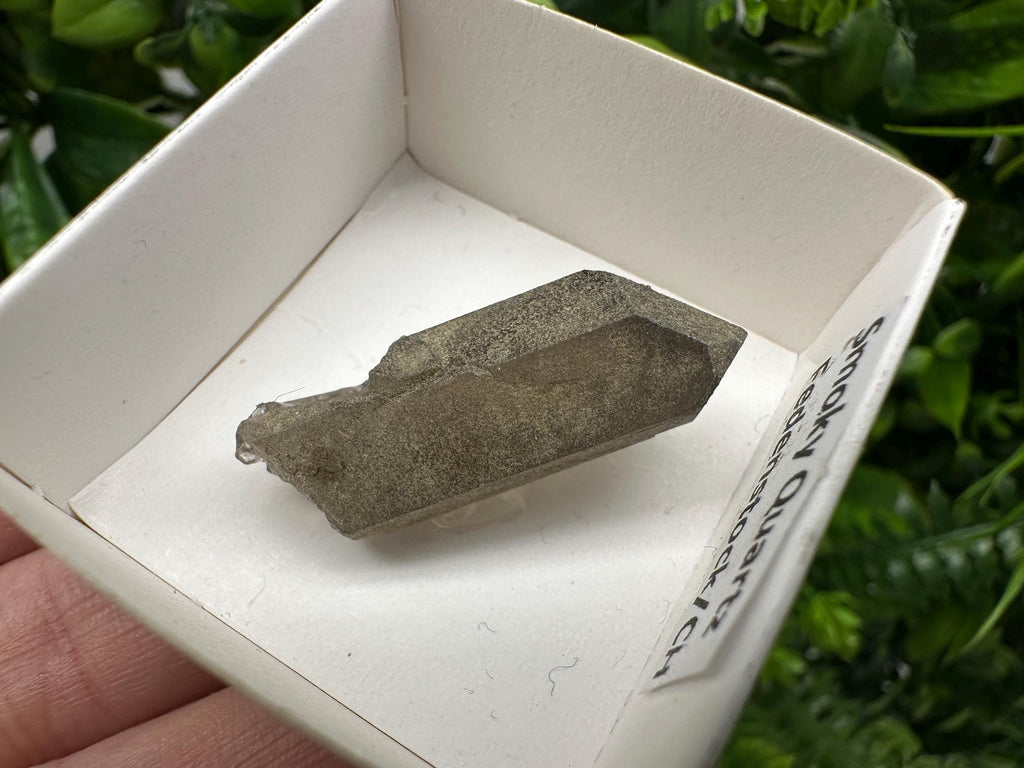 Rare Fedenstock Smoky Quartz Point, Swiss Mineral Specimen (35mm)