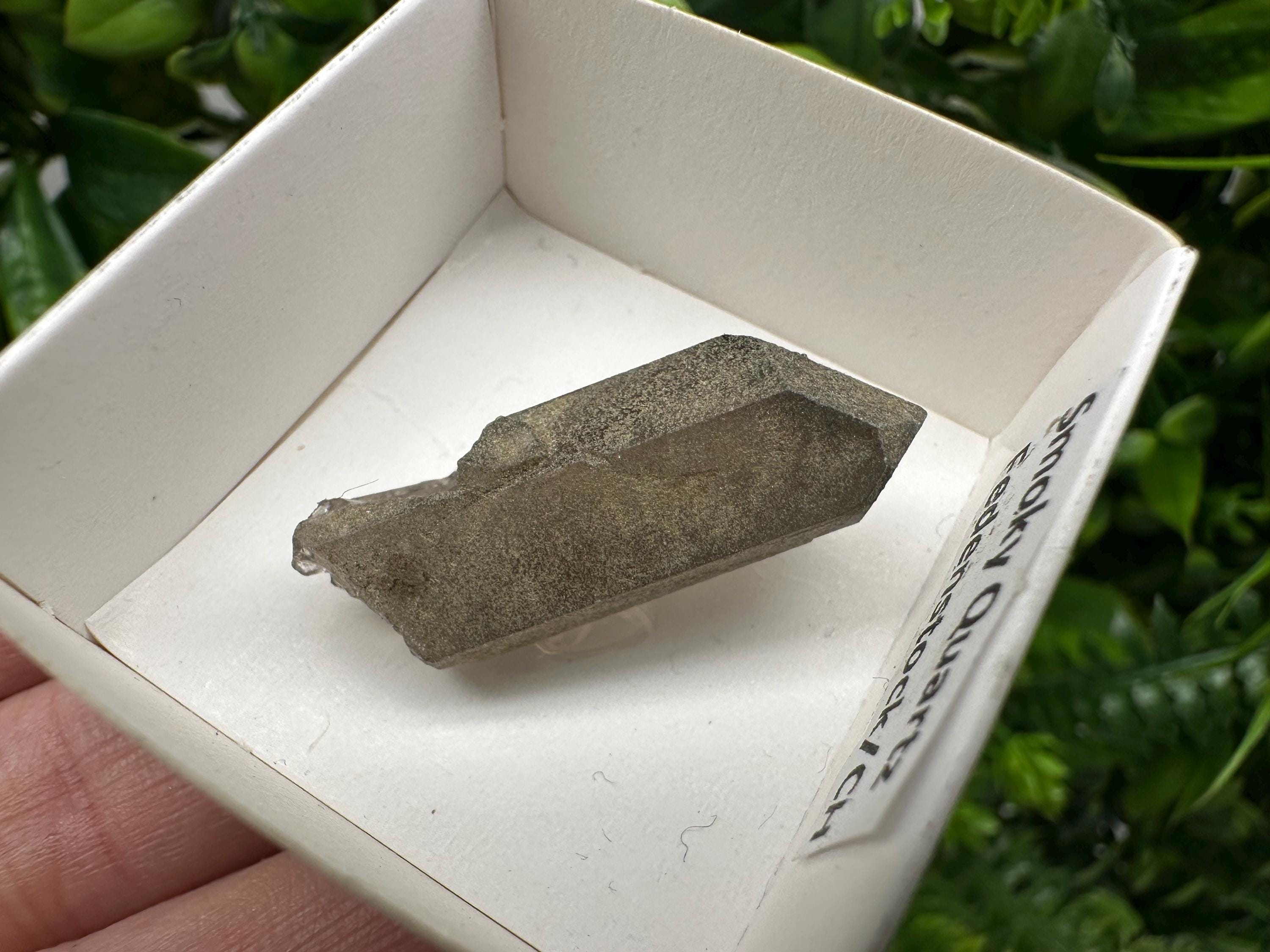 Rare Fedenstock Smoky Quartz Point, Swiss Mineral Specimen (35mm)