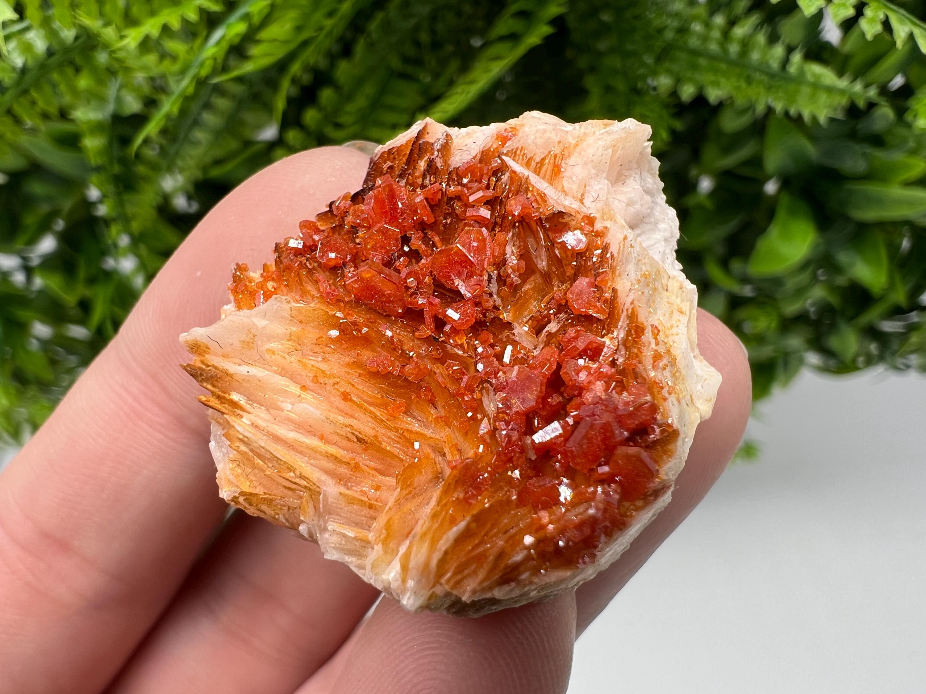 Red Vanadinite on Barite from Marocco,crystal minerals Speciment cluster Vanadinite crystal Vanadinite Geology Vanadinite cluster minerals