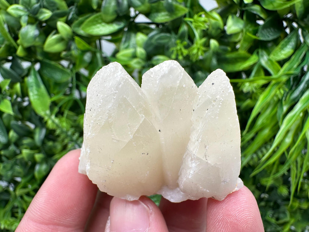 Calcite on Aragonite: Djurcovo Mine, Bulgaria Healing Crystal