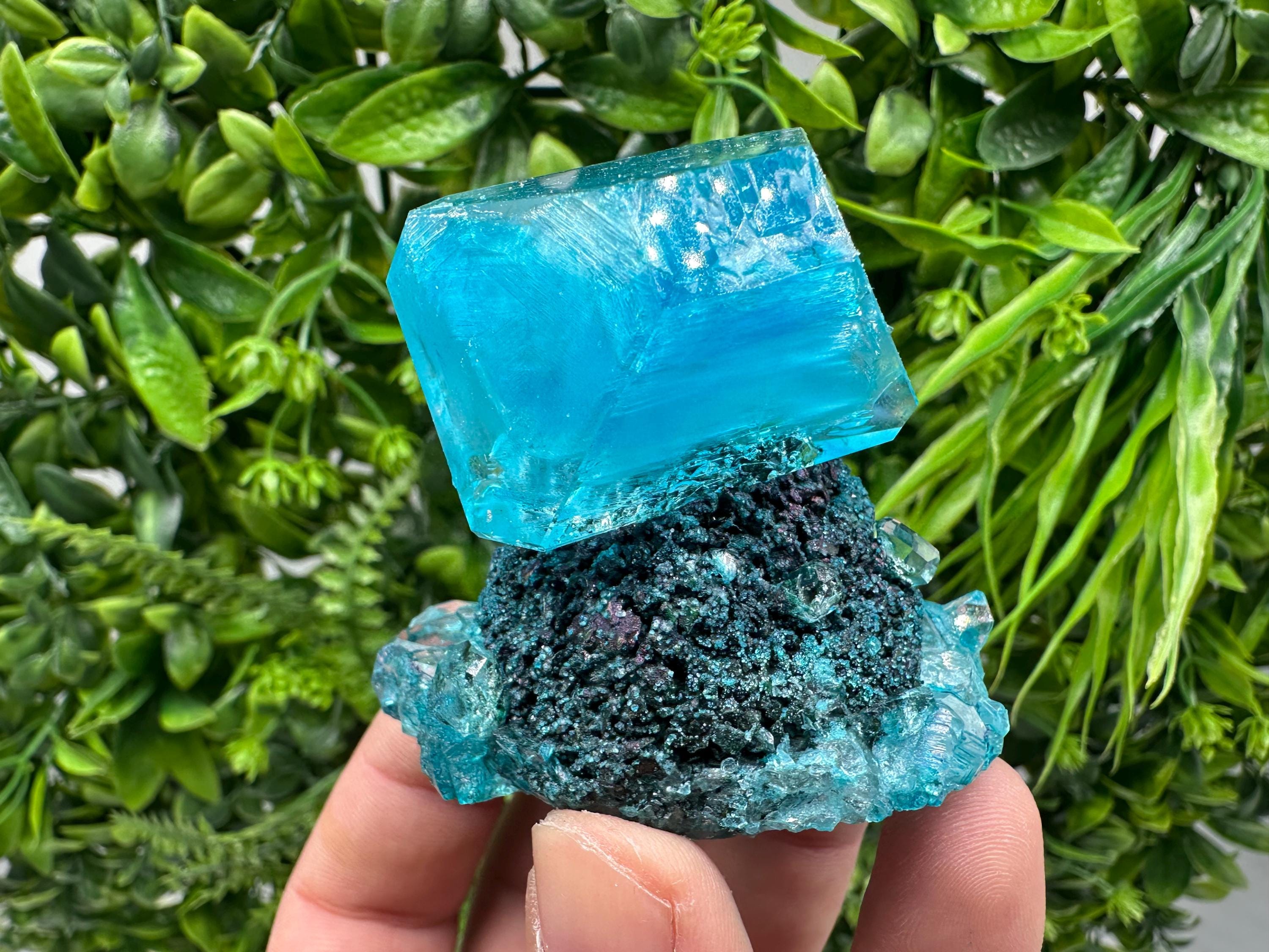 Exceptional Turquoise ALUNITE Aqua Crystal on Matrix UV Active, lab minerals