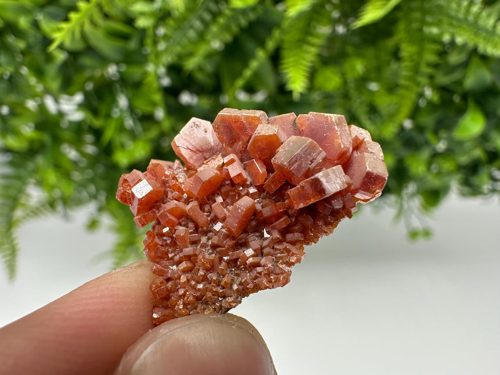 Red Vanadinite on Barite, Morocco Crystal Specimen, Geology Minerals