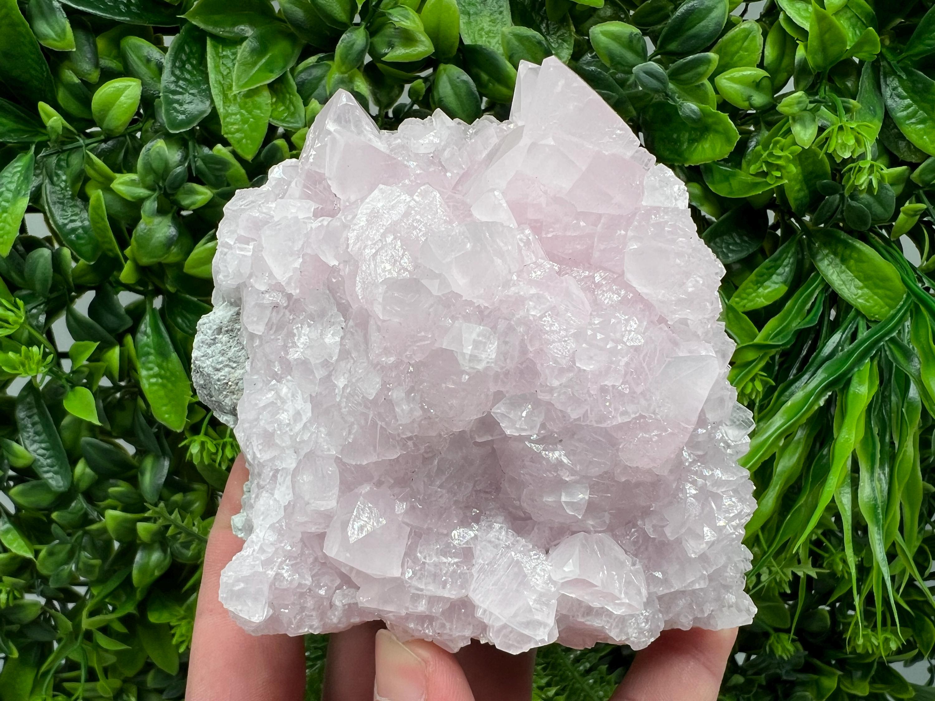 UV Reactive Mangano Calcite Crystal: Androvo Mine Bulgaria