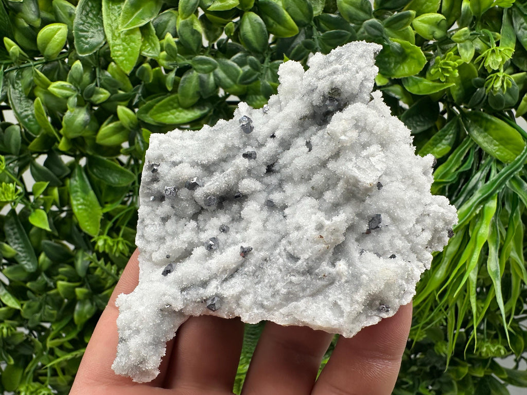 Mirror Galena on Chalcedony, Krushev dol Mine Mineral Specimen