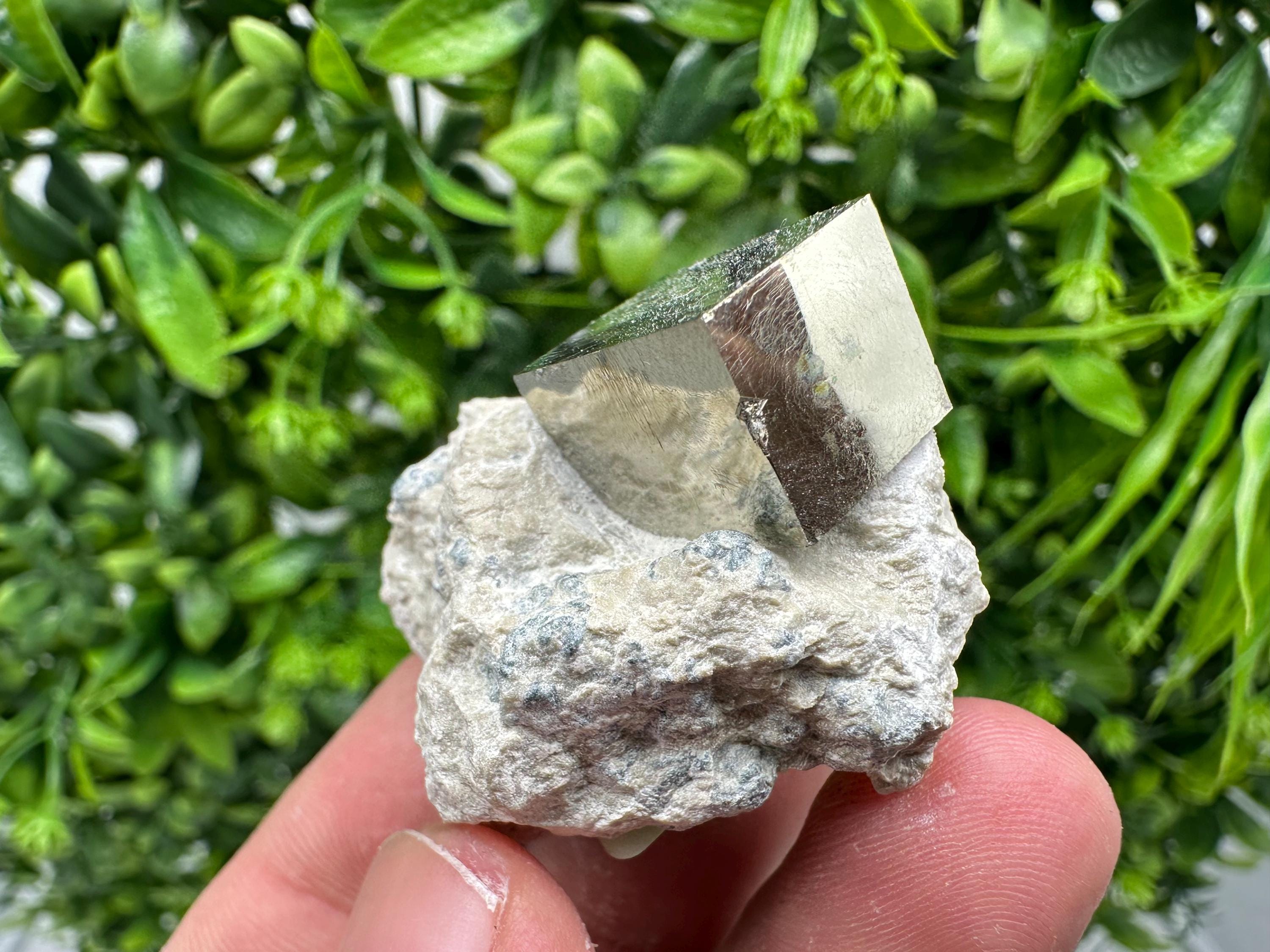 Large Pyrite Cube on Matrix, Natural Mineral Specimen, La Rioja Spain