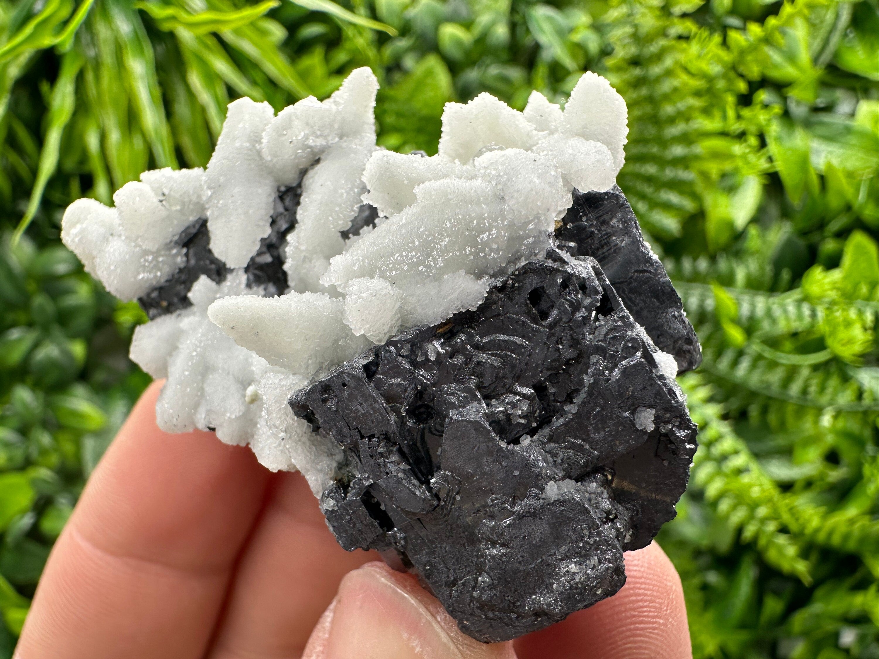 Rare Calcite on Galena: Borieva Mine, Bulgaria