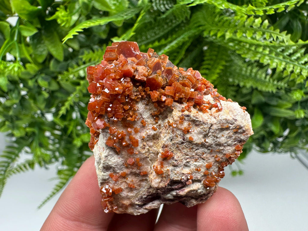 Red Vanadinite on Barite, Moroccan Crystal Specimen