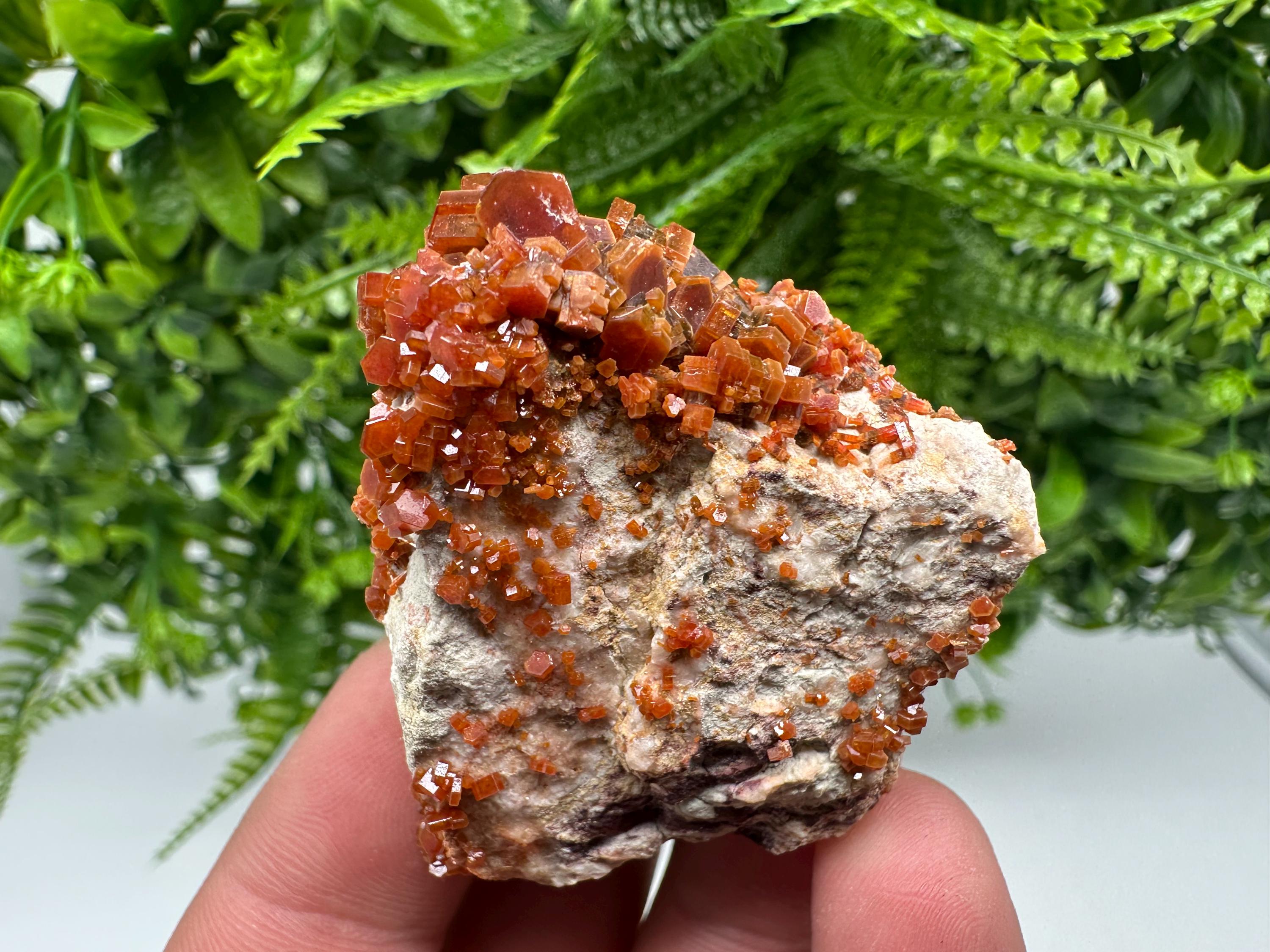 Red Vanadinite on Barite, Moroccan Crystal Specimen
