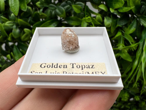 Beautiful Golden Topaz from Mexico, collection piece Crystal, Mineral, collectibles, Collectors, Natural Crystal, Minerals from Mexico, original,