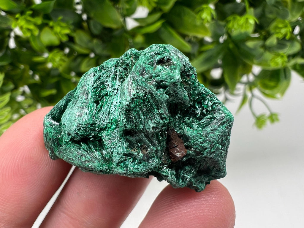 Malachite Crystal from Congo,Minerals,Crystals from Congo,Green Malachite, Malachite,Natural Malachite,Malachite Stone,Chakra, Specimens