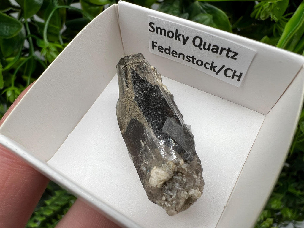 Rare Fedenstock Smoky Quartz Point, Swiss Mineral Specimen (40mm)