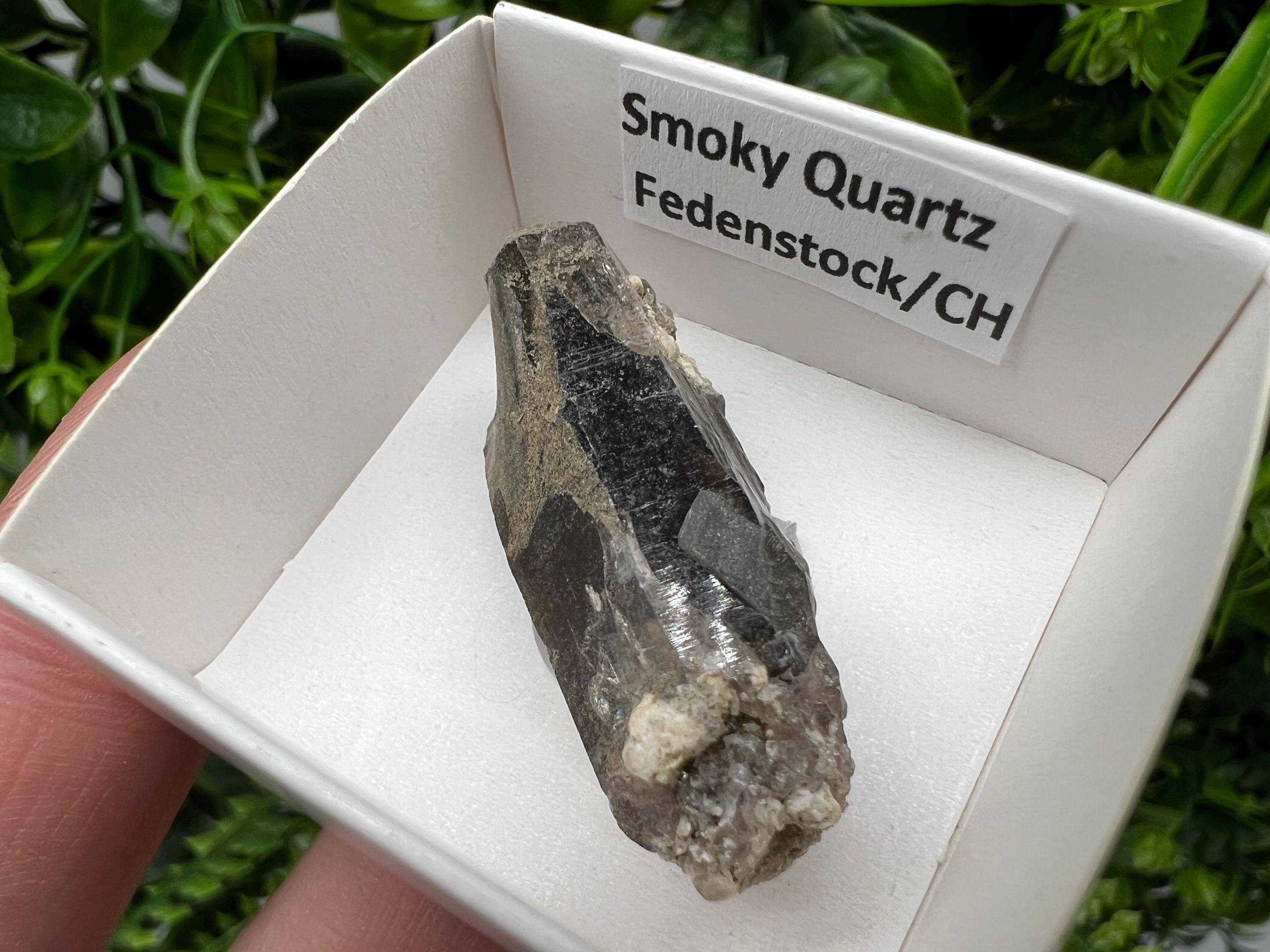 Rare Fedenstock Smoky Quartz Point, Swiss Mineral Specimen (40mm)