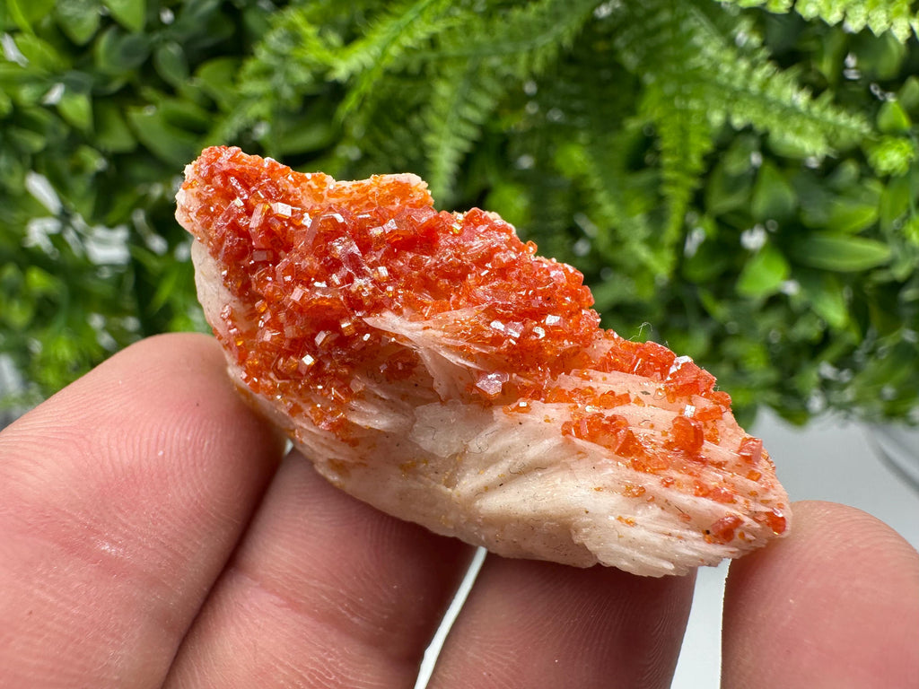 Red Vanadinite on Barite from Marocco,crystal minerals Speciment cluster Vanadinite crystal Vanadinite Geology Vanadinite cluster minerals