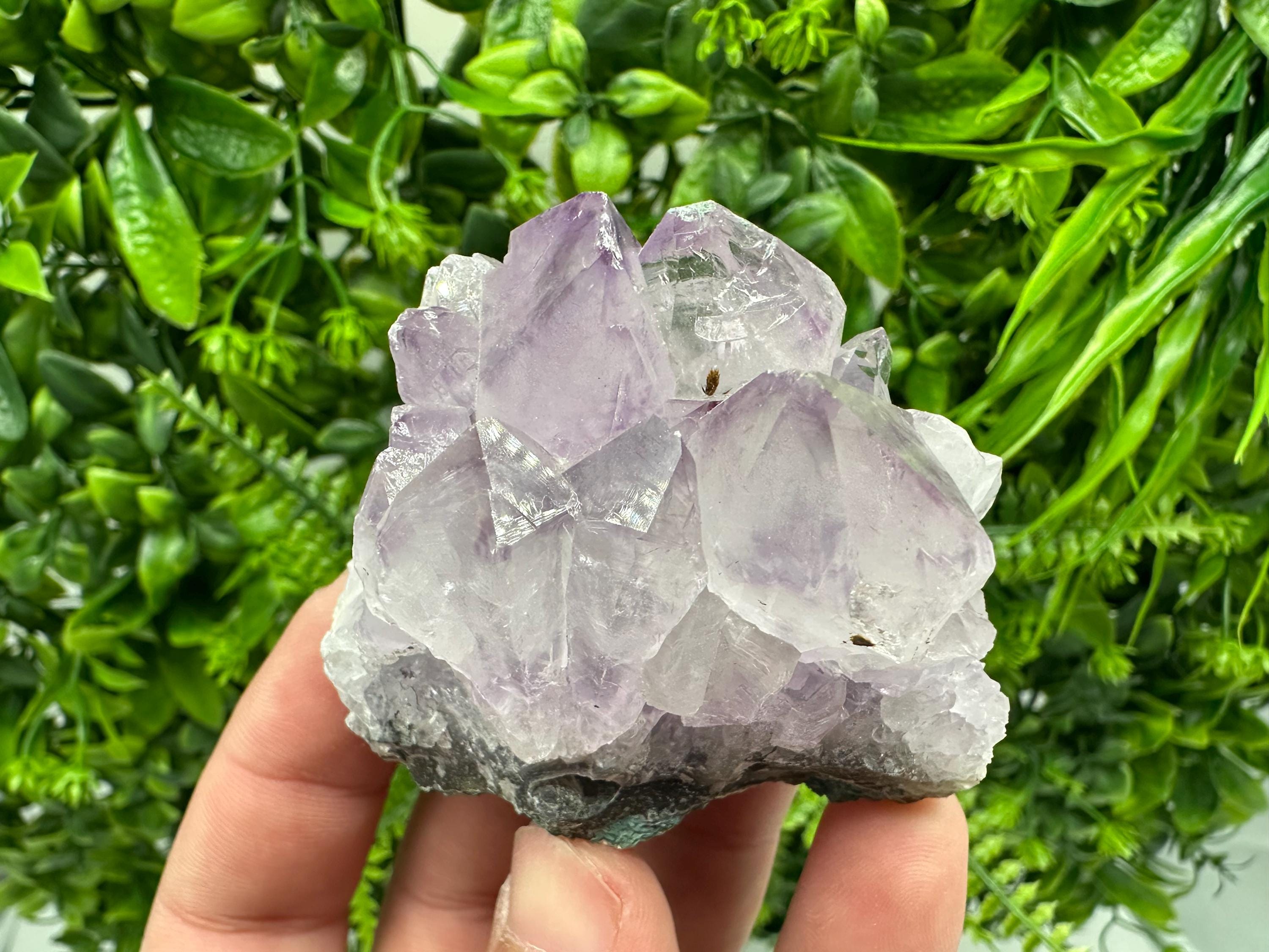 Brazilian Amethyst Crystal Cluster, Purple Quartz Specimen