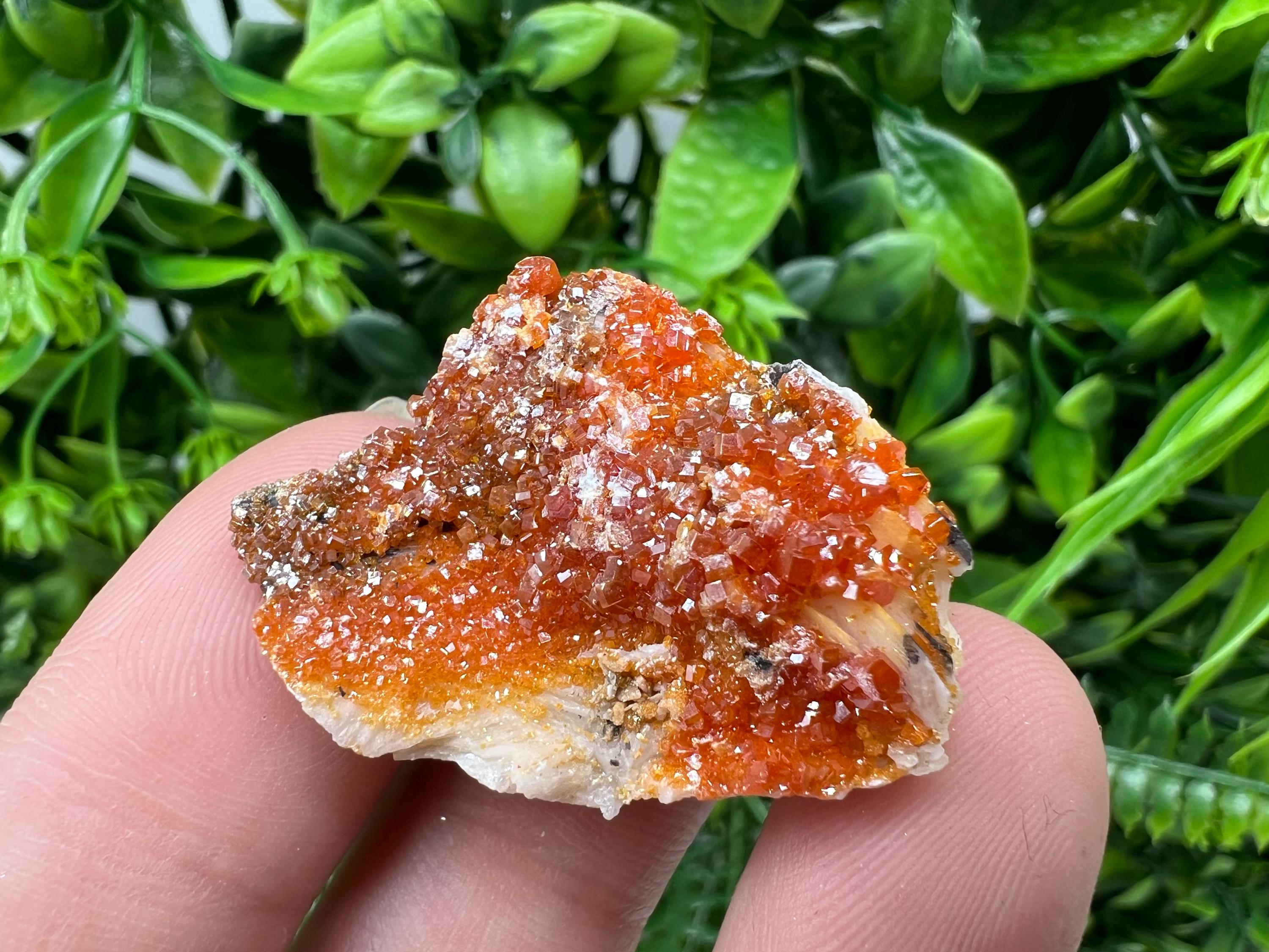 Red Vanadinite on Barite Specimen, Morocco Crystal Cluster