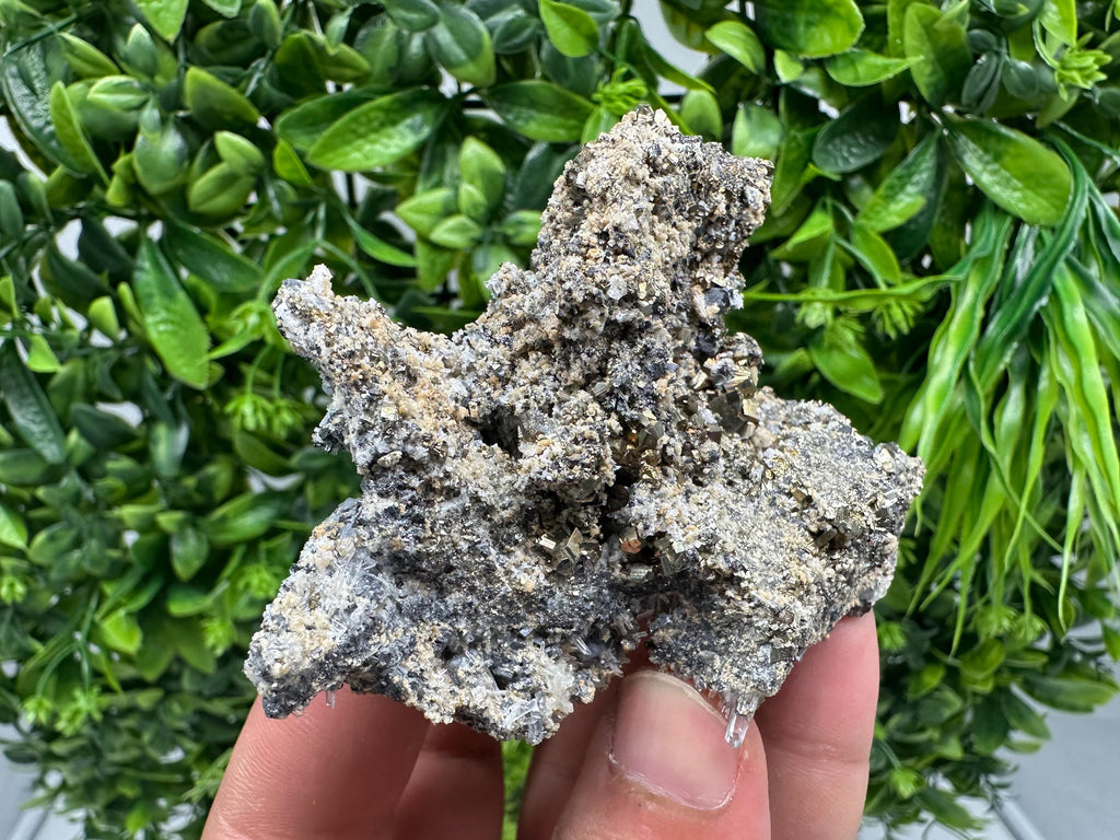 Pyrite Galena on Green Quartz: Chlorite Mineral Specimen, Bulgaria