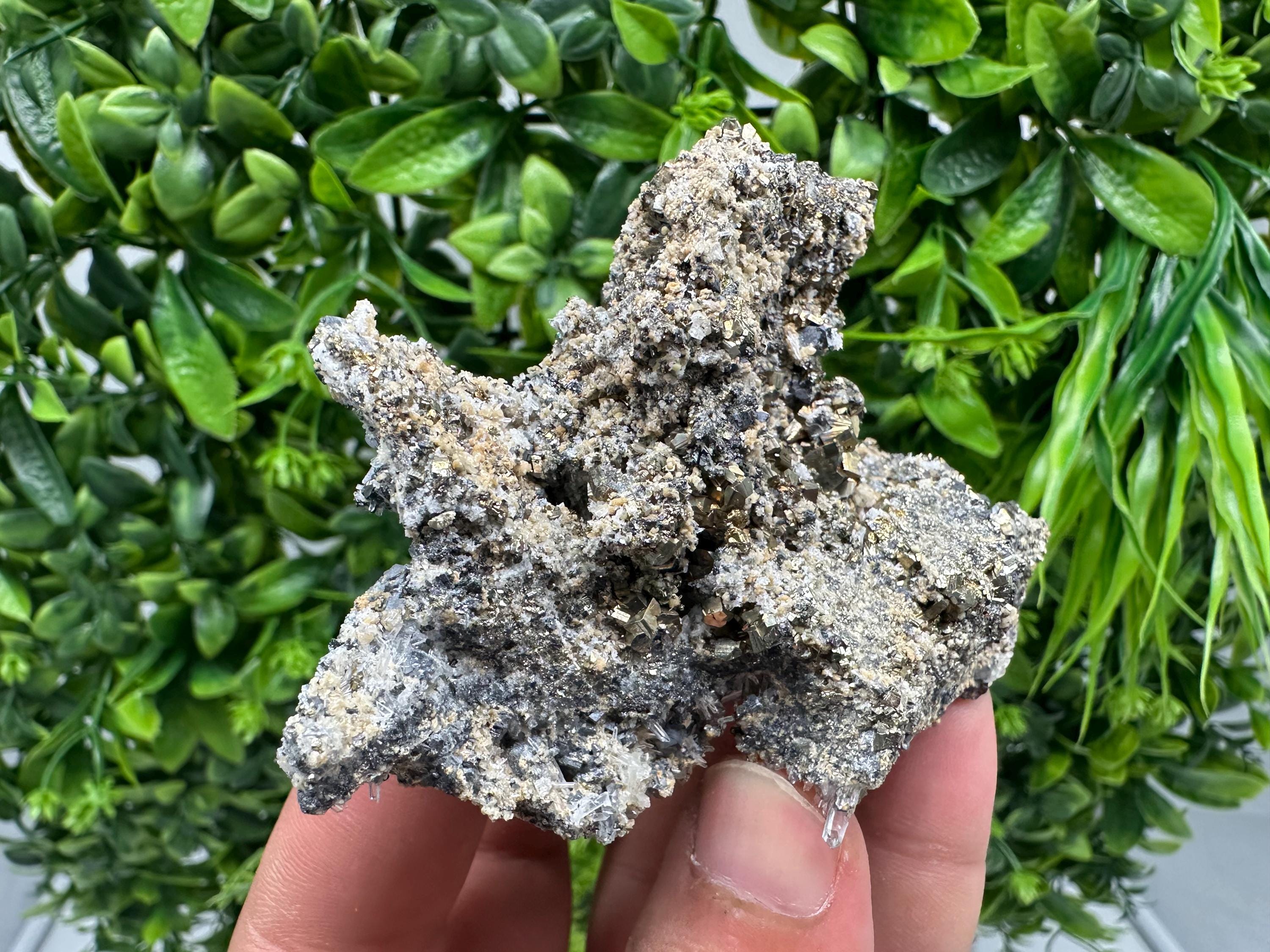Pyrite Galena on Green Quartz: Chlorite Mineral Specimen, Bulgaria
