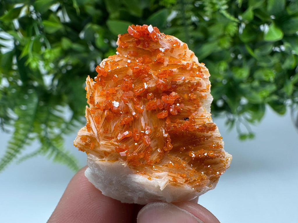 Red Vanadinite on Barite from Marocco,crystal minerals Speciment cluster Vanadinite crystal Vanadinite Geology Vanadinite cluster minerals