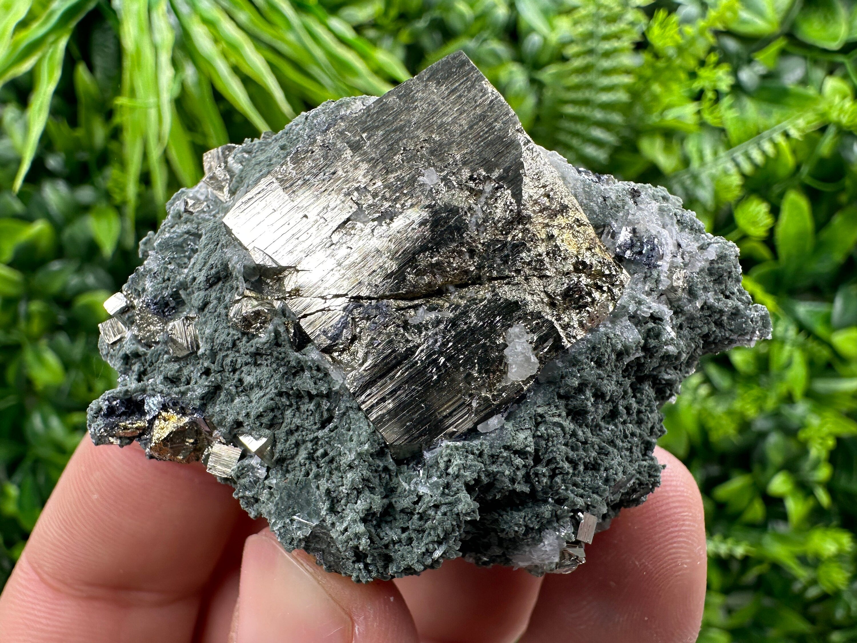 Pyrite with Chlorite: Natural Mineral Souvenir from Bulgaria